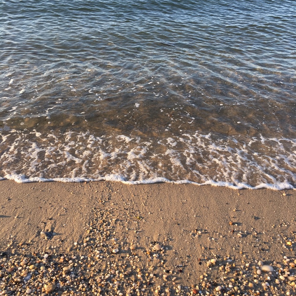 Meet your Posher, Charlotte